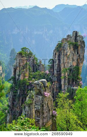 Famous tourist attraction of China - Zhangjiajie stone pillars cliff mountains on sunset at Wulingyuan, Hunan, China