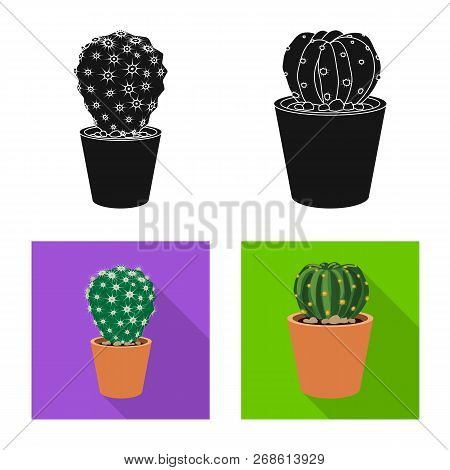 Vector Illustration Of Cactus And Pot Icon. Set Of Cactus And Cacti Vector Icon For Stock.