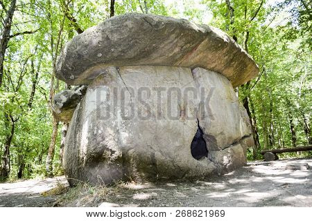 Big Shapsug Dolmen. A Megalytic Construction In The Woods Of Kuban.