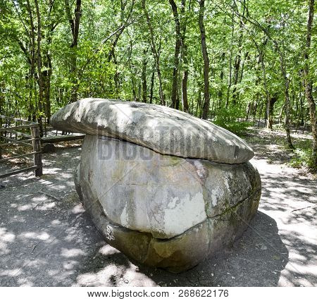 Big Shapsug Dolmen. A Megalytic Construction In The Woods Of Kuban.