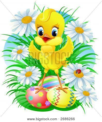Ostern-Küken