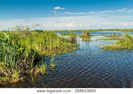 Wetlands In Nature Reserve Esteros Del Ibera, Argentina
