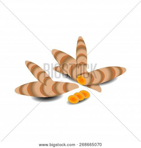 Turmeric, Curcuma Root, Slices. Volume Vector Image With Shadows. Indian Spice, Medicinal Plant, Dye