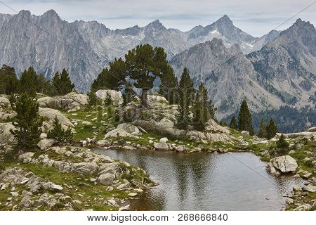 Aigues Tortes National Park Mountain Landscape. Estany Damitges. Spain