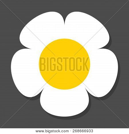 Chamomile Flat Vector Icon On A Grey Background With Shadow.