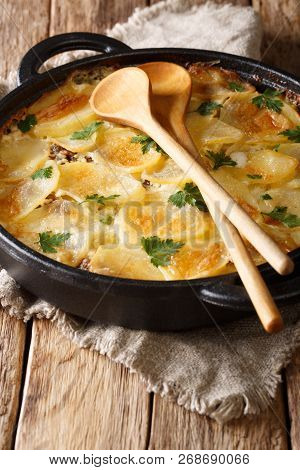 Traditional Finnish Food Janssonin Kiusaus Baked Potatoes With Anchovies, Onions And Heavy Cream Clo
