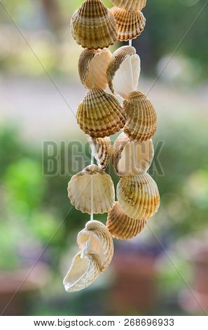 Seashells hanging on a string over a blurred outdoors green background