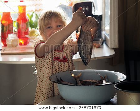 The Child Holding The Tail Of The Fish, The Roach. Girl In The Kitchen Helps To Disassemble The Fish