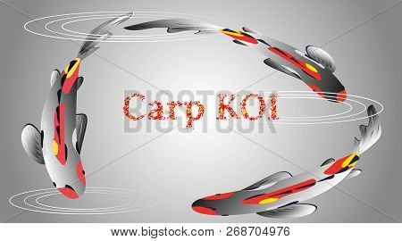 Set With Fish, Carp Koi In Water. Vector Illustration, Cyprinus Carpio.