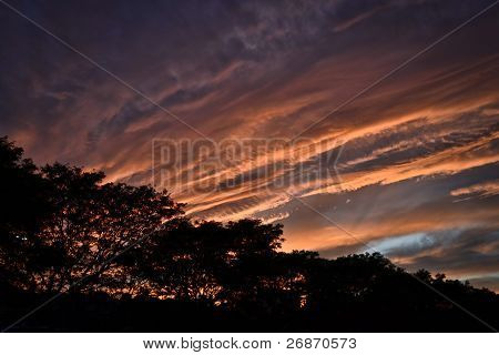Orange Sky