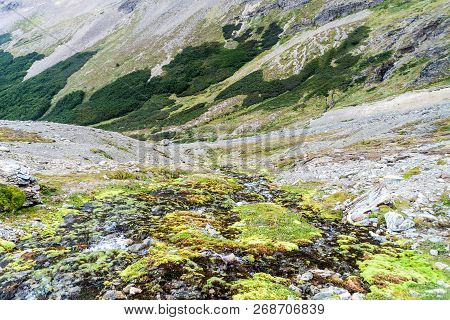 Martial Mountain Near Ushuaia, Tierra Del Fuego, Argentina