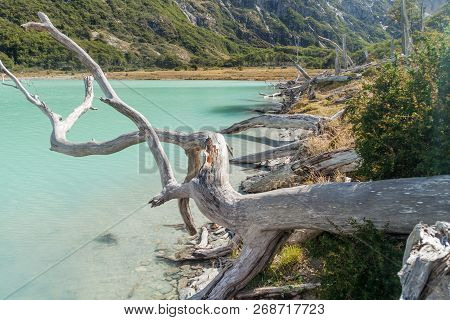 View Of Laguna Esmeralda Emerald Lake At Tierra Del Fuego Island, Argentina