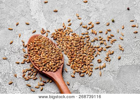 Malted Grains In A Wooden Spoon Closeup. Mixed Varieties Of Malted Grain On A Gray Background. Close