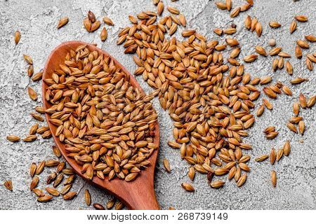 Malted Grains In A Wooden Spoon Closeup. Mixed Varieties Of Malted Grain On A Gray Background. Close