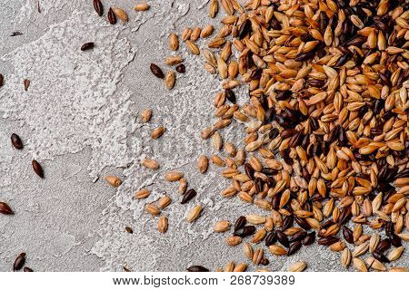 Malted Grain Closeup. Mixed Varieties Of Malted Grain On A Gray Background. Close-up. Top View. Flat