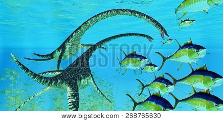 Aquatic Reptile Elasmosaurus 3d Illustration - Yellowfin Tuna Try To Escape The Jaws Of Two Elasmosa