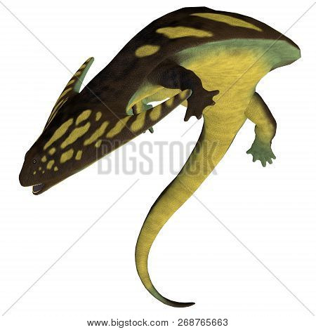 Diplocaulus Amphibian On White 3d Illustration - Diplocaulus Was An Amphibian Tetrapod That Lived In