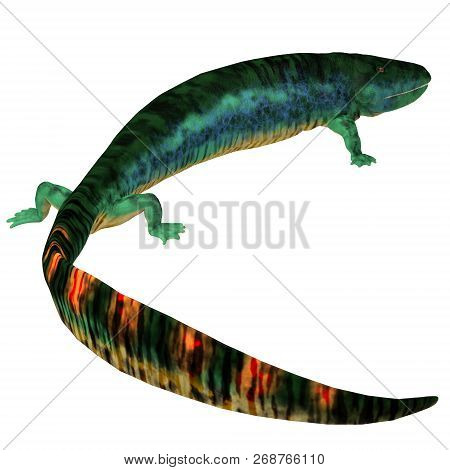 Eogyrinus Tetrapod Tail 3d Illustration - Eogyrinus Was An Amphibian Tetrapod That Lived In England 