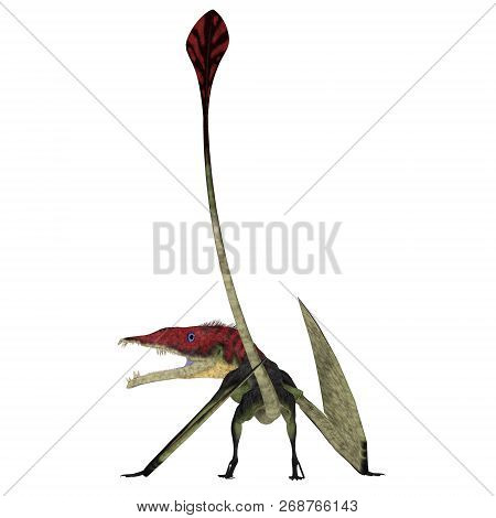 Eudimorphodon Pterosaur Tail 3d Illustration - Eudimorphodon Was A Carnivorous Pterosaur Bird That L