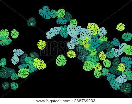 Sea Green Tropical Jungle Leaves Vector Scatter. Philodendron Or Monstera Plant Summer Background. P