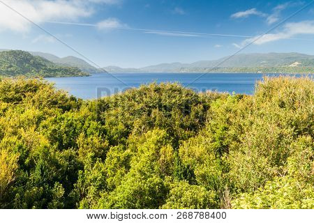 Cucao Lake In Chiloe National Park, Chile