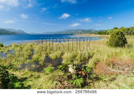 Cucao Lake In Chiloe National Park, Chile