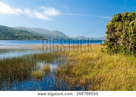 Cucao Lake In Chiloe National Park, Chile