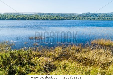 Cucao Lake In Chiloe National Park, Chile