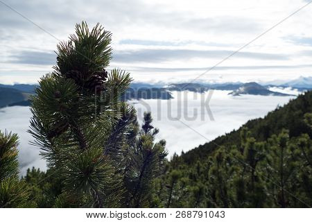 Beautiful Autumn Hiking In Berchtesgadener Alps
