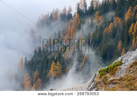 Beautiful Autumn Hiking In Berchtesgadener Alps