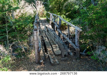 Wooden Bridge On A Hiking Trail In National Park Huerquehue, Chile
