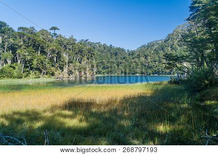 Lago Verde Lake In National Park Huerquehue, Chile