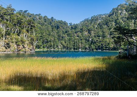 Lago Verde Lake In National Park Huerquehue, Chile