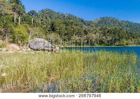 Lago Verde Lake In National Park Huerquehue, Chile