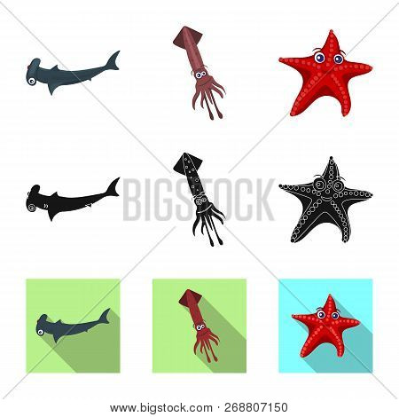 Vector Design Of Sea And Animal Sign. Collection Of Sea And Marine Stock Vector Illustration.