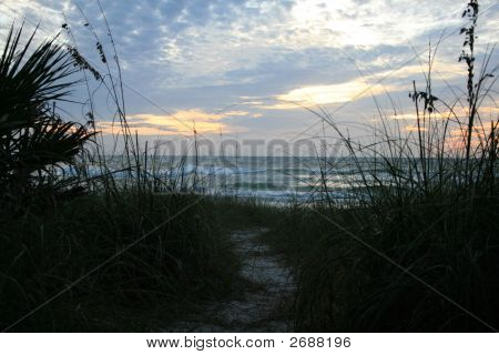 Sentiero verso la spiaggia
