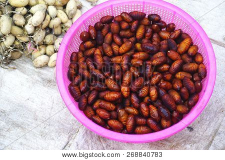 Closeup Of Edible Insect Pupa With Silkworm Cocoons Behind At An Outdoor Market In Rural Laos