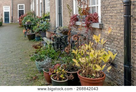 Beguinage In The Dutch City Of Breda, North Brabant In The Fall Season. The Houses In The Beguinage 