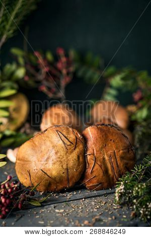 closeup of some yellow knight mushrooms, also known as man on horseback, and some twigs of different forest bushes on a dark gray rustic wooden table