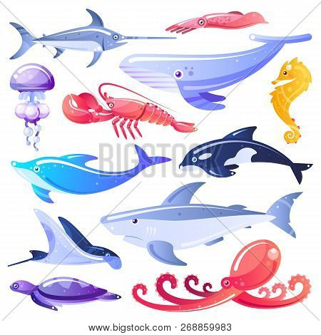 Sea Animals And Fishes Vector Illustration. Marine Life Design Elements. Ocean Dwellers Isolated On 
