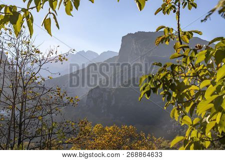 View Of Mount Olympus In The Fog In A Frame Of Tree Leaves. Litochoro Greece