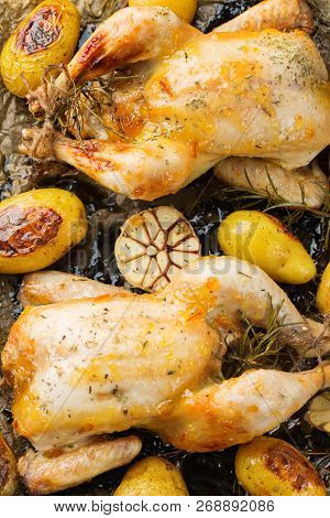 Roasted Chicken With Spices, Herbs, Garlis, Small Potatoes
