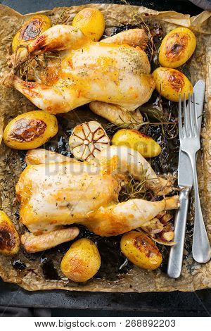 Roasted Chicken With Spices, Herbs, Garlis, Small Potatoes