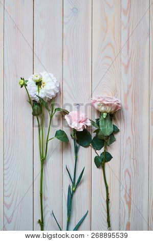 Gentle Vintage Wedding Background And Beautiful Flowers