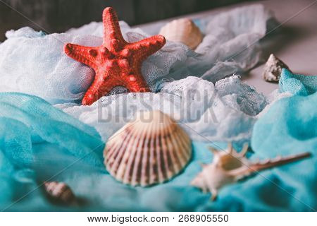 Seashells And Starfish On Cian And White Cloth