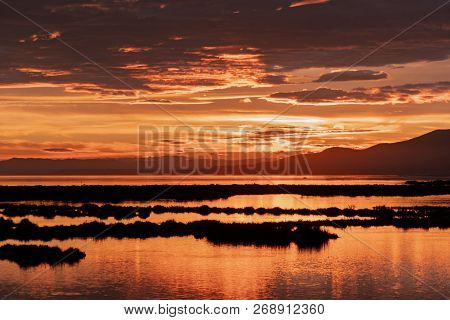 Sunset Golden Hour In In Delta Del Ebro Natural Park, Tarragona, Catalunya, Spain