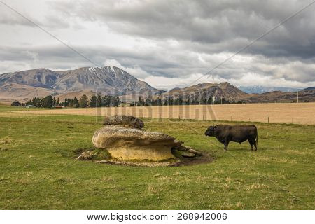 The Castle Hill Conservation Area or  Kura Tawhiti, Arthur's pass, Limestone rock formations, Southern Alps, South island, New Zealand