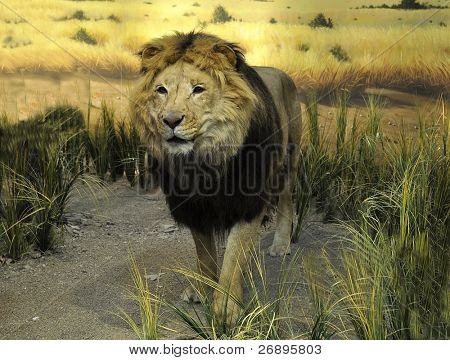 León de peluche