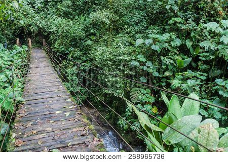 Bridge In Nambillo Cloud Forest Reserve Near Mindo, Ecuador.