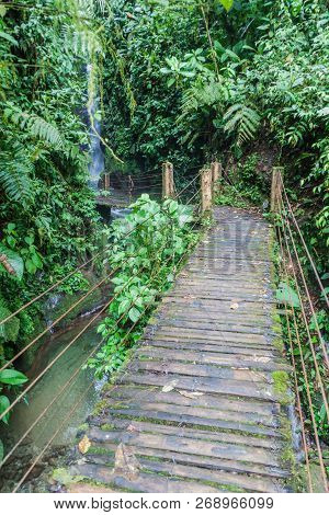 Bridge To A Small Waterfall In Nambillo Cloud Forest Reserve Near Mindo, Ecuador.